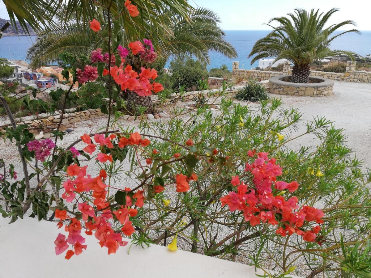 Tranquil Villa With Sea View In Ammopi Karpathos Amoopi Buitenkant foto